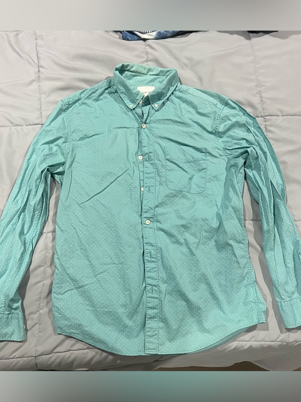 American Eagle Outfitters Mint Green Button-Down Shirt